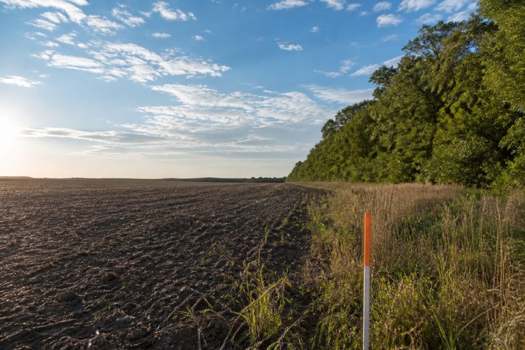 Open acreage meeting a woodlot under a wide sky